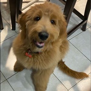 Meet your Posher, Juby